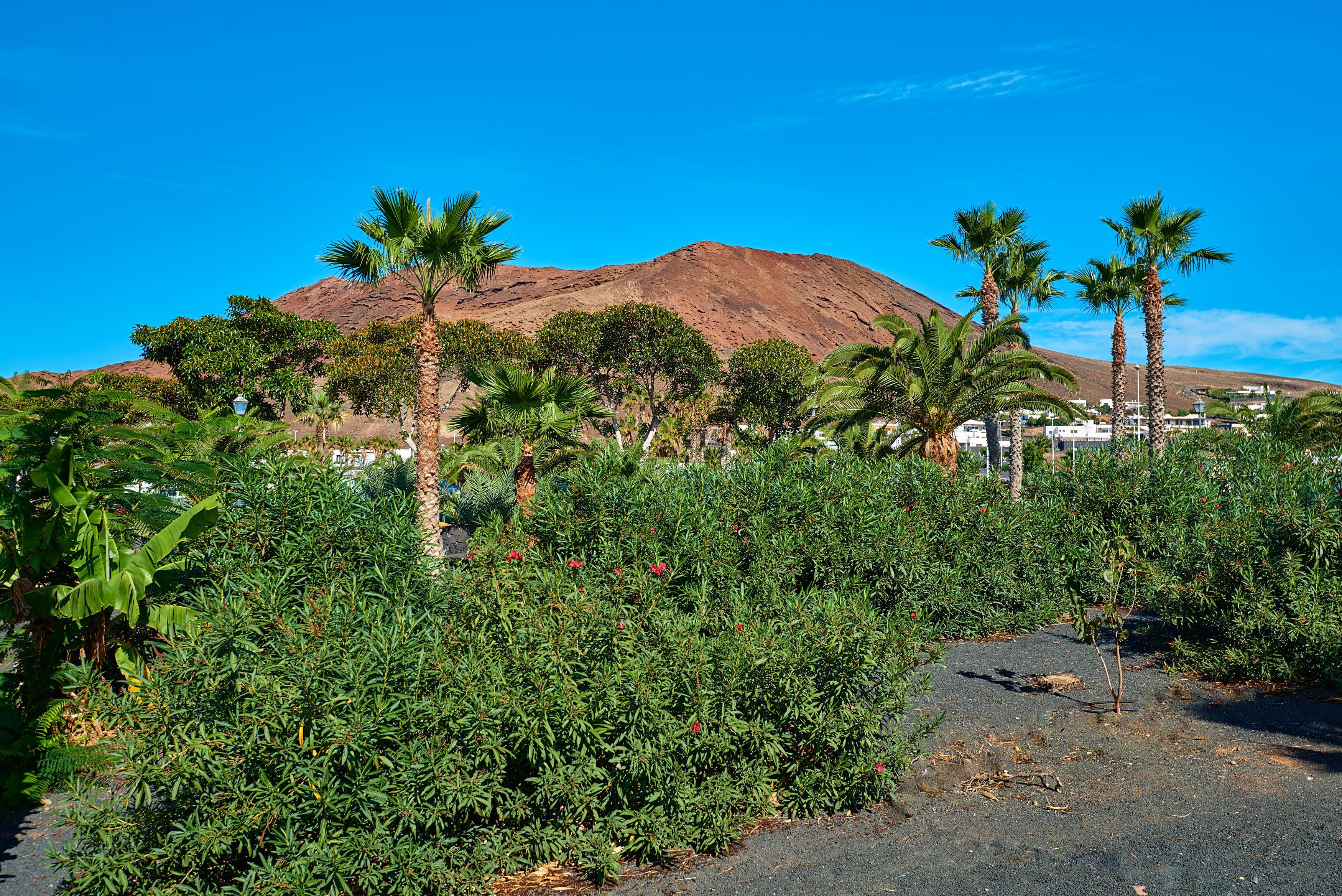 Hipotels Natura Palace Adults Only Playa Blanca  Esterno foto
